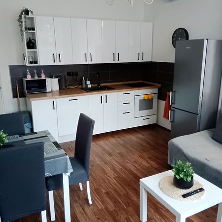 Apartman U Fontany Poděbrady المظهر الخارجي الصورة